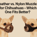 Leather vs. Nylon Muzzle for Chihuahuas – Which One Fits Better