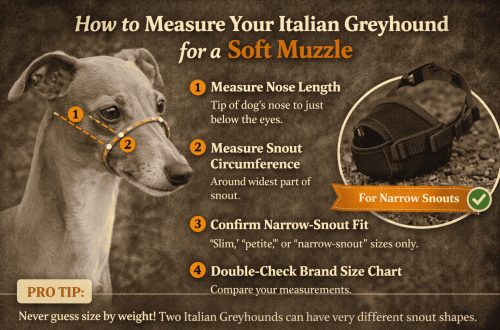 Best Soft Muzzles for Italian Greyhounds With Narrow Snouts