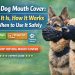 Best Dog Mouth Cover