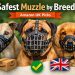 Greyhound vs Bullmastiff vs Cocker Spaniel: Which Muzzle Type Is Safest? (UK Guide)