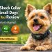 Tiny Shock Collar for Small Dogs Review