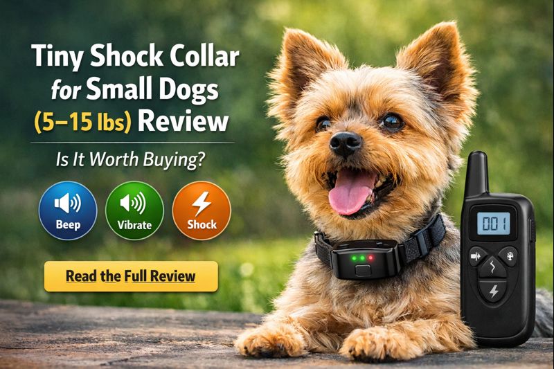 Tiny Shock Collar for Small Dogs Review