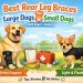 Best Rear Leg Braces for Large Dogs vs Small Dogs