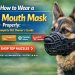 how to wear dog mouth mask
