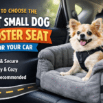 The Ultimate Small Dog Booster Seat for Car Buying Guide