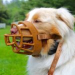 Best Dog Muzzle to Prevent Biting Around Children and Guests at Home