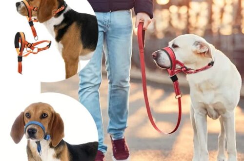 best dog muzzle to prevent biting