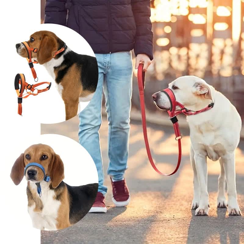 best dog muzzle to prevent biting