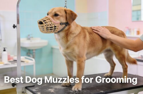 dog-grooming-muzzle.png