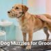 dog-grooming-muzzle.png