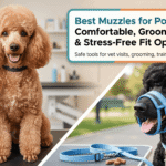 Best Muzzles for Poodles
