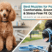 Best Muzzles for Poodles