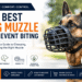 How to Choose the Best Dog Muzzle to Prevent Biting
