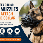Why a Dog Muzzle That Attaches to the Collar Is Safer Than Traditional Muzzles
